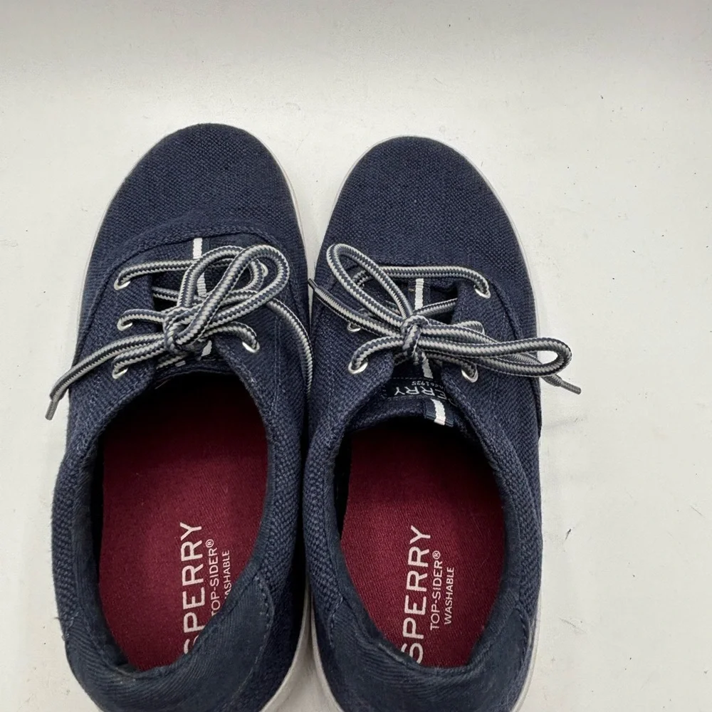 Sperry Men's Navy Casual Shoes